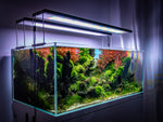 Load image into Gallery viewer, Aquascaping Contest Combo
